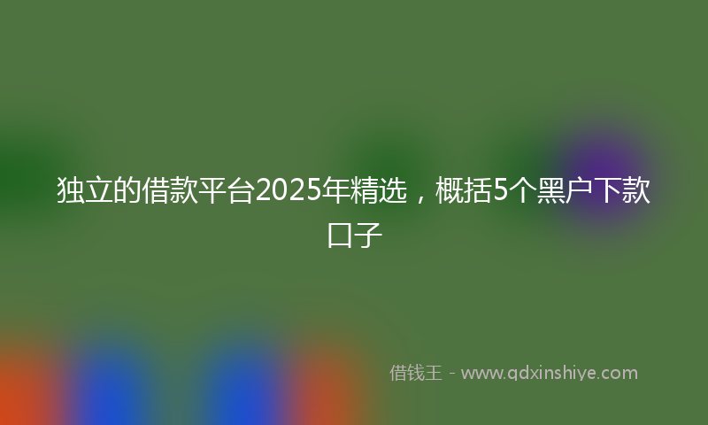 独立的借款平台2025年精选，概括5个黑户下款口子