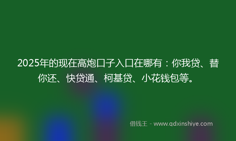 2025年的现在高炮口子入口在哪有：你我贷、替你还、快贷通、柯基贷、小花钱包等。
