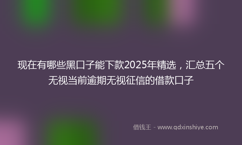现在有哪些黑口子能下款2025年精选，汇总五个无视当前逾期无视征信的借款口子