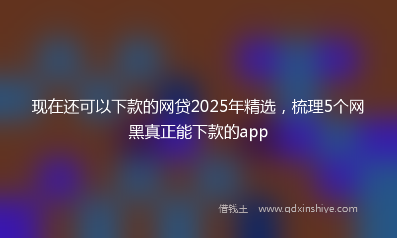 现在还可以下款的网贷2025年精选，梳理5个网黑真正能下款的app
