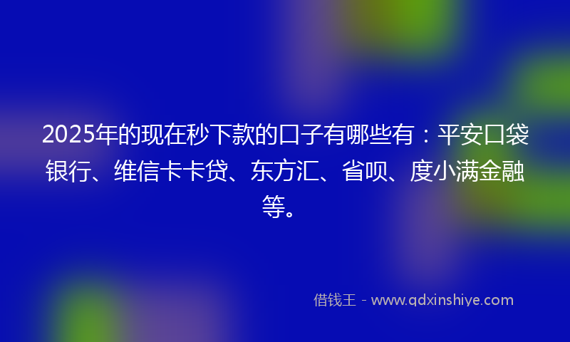 2025年的现在秒下款的口子有哪些有：平安口袋银行、维信卡卡贷、东方汇、省呗、度小满金融等。