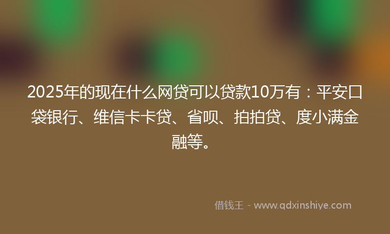 2025年的现在什么网贷可以贷款10万有：平安口袋银行、维信卡卡贷、省呗、拍拍贷、度小满金融等。
