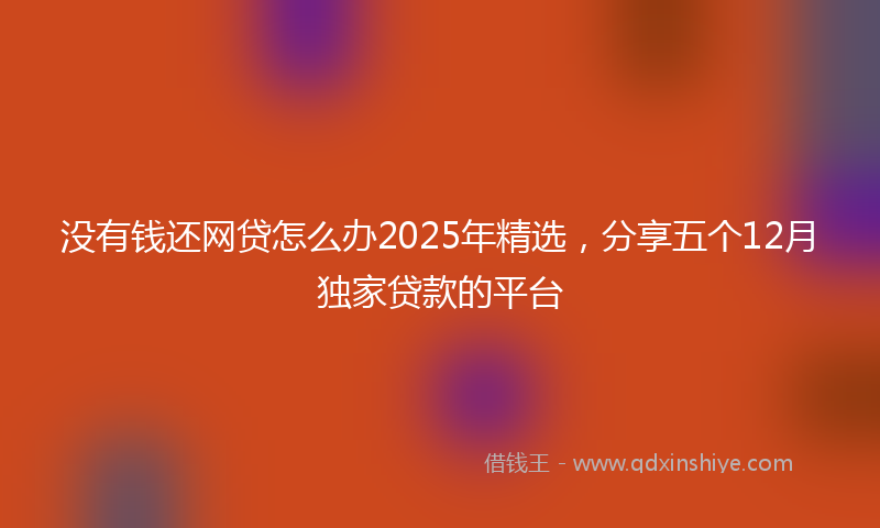 没有钱还网贷怎么办2025年精选，分享五个12月独家贷款的平台