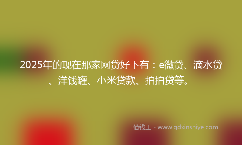 2025年的现在那家网贷好下有：e微贷、滴水贷、洋钱罐、小米贷款、拍拍贷等。