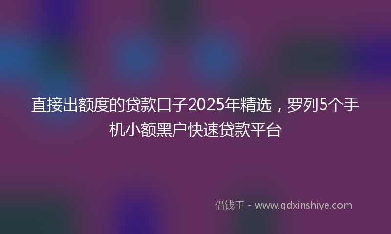 直接出额度的贷款口子2025年精选，罗列5个手机小额黑户快速贷款平台