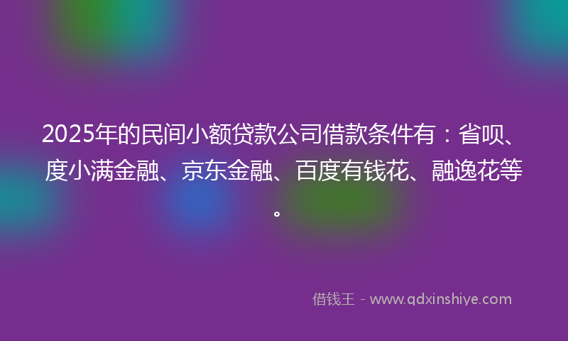 2025年的民间小额贷款公司借款条件有：省呗、度小满金融、京东金融、百度有钱花、融逸花等。