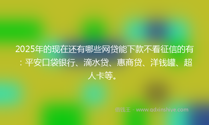 2025年的现在还有哪些网贷能下款不看征信的有：平安口袋银行、滴水贷、惠商贷、洋钱罐、超人卡等。