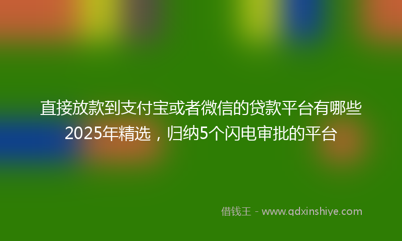 直接放款到支付宝或者微信的贷款平台有哪些2025年精选，归纳5个闪电审批的平台