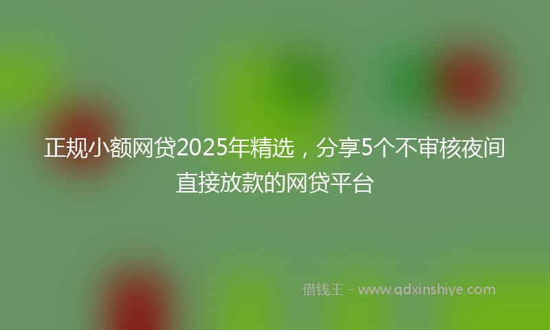 正规小额网贷2025年精选，分享5个不审核夜间直接放款的网贷平台