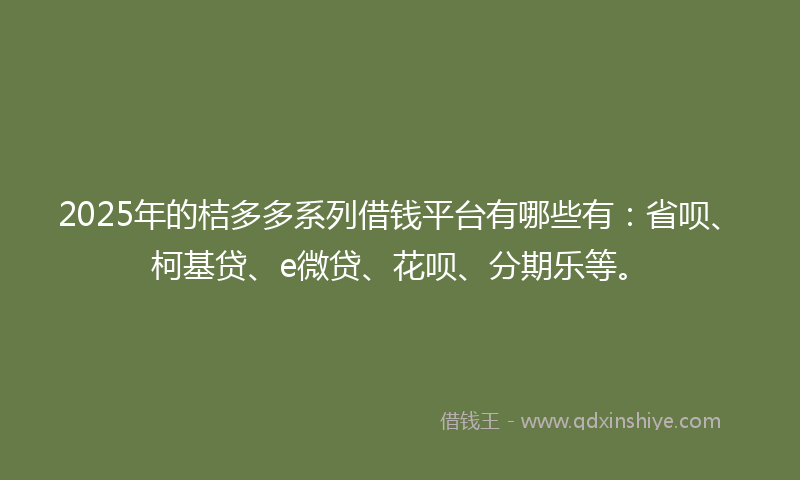 2025年的桔多多系列借钱平台有哪些有：省呗、柯基贷、e微贷、花呗、分期乐等。