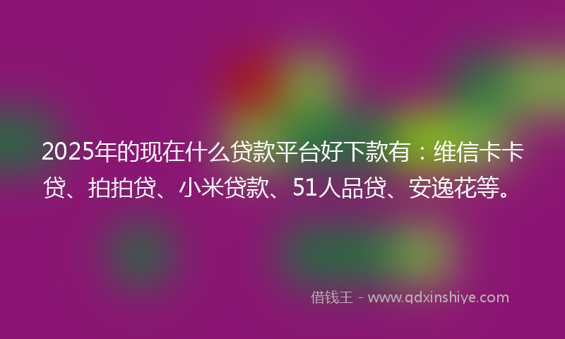 2025年的现在什么贷款平台好下款有：维信卡卡贷、拍拍贷、小米贷款、51人品贷、安逸花等。
