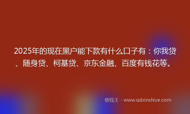 2025年的现在黑户能下款有什么口子有：你我贷、随身贷、柯基贷、京东金融、百度有钱花等。