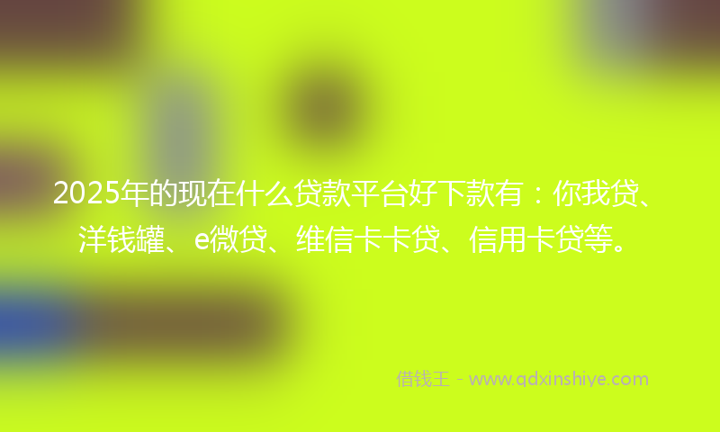 2025年的现在什么贷款平台好下款有：你我贷、洋钱罐、e微贷、维信卡卡贷、信用卡贷等。
