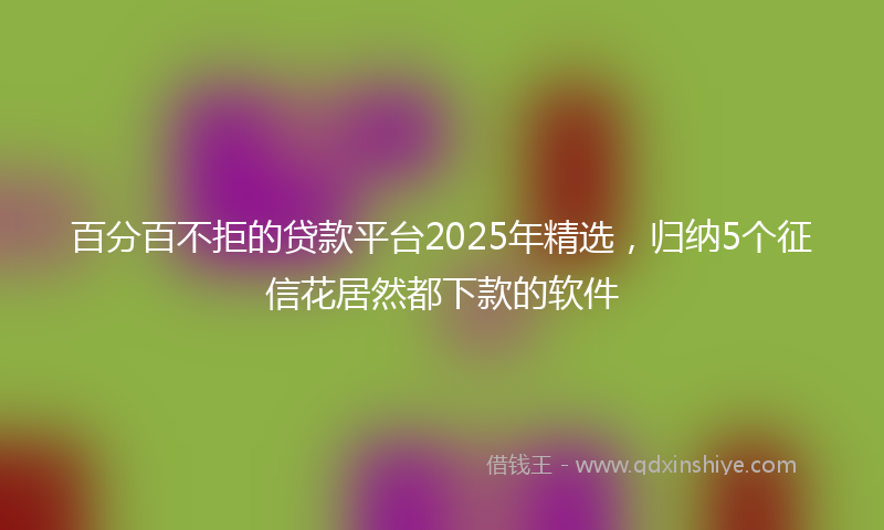 百分百不拒的贷款平台2025年精选，归纳5个征信花居然都下款的软件
