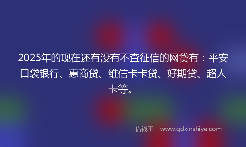 2025年的现在还有没有不查征信的网贷有：平安口袋银行、惠商贷、维信卡卡贷、好期贷、超人卡等。