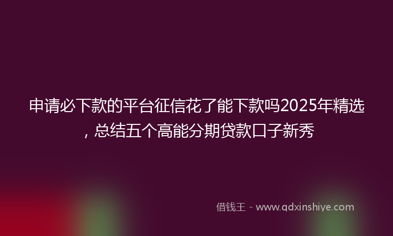 申请必下款的平台征信花了能下款吗2025年精选，总结五个高能分期贷款口子新秀