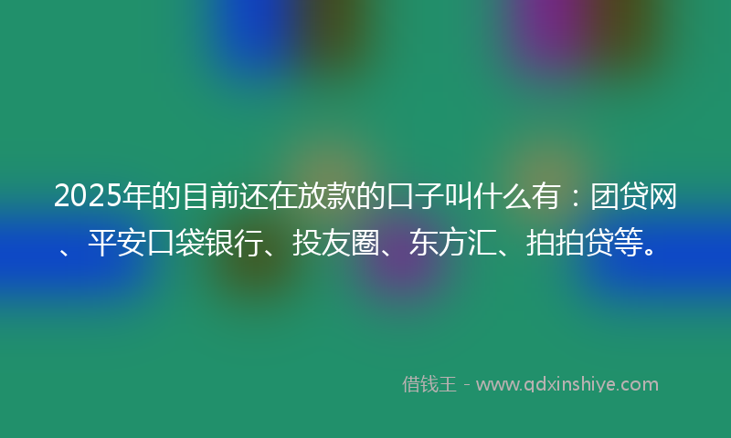2025年的目前还在放款的口子叫什么有：团贷网、平安口袋银行、投友圈、东方汇、拍拍贷等。