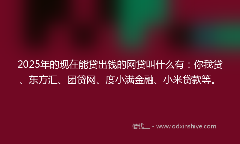 2025年的现在能贷出钱的网贷叫什么有：你我贷、东方汇、团贷网、度小满金融、小米贷款等。