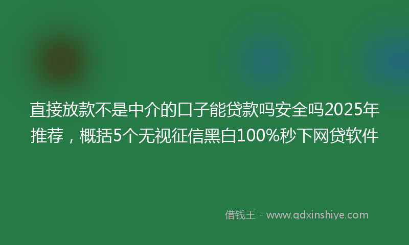 直接放款不是中介的口子能贷款吗安全吗2025年推荐，概括5个无视征信黑白100%秒下网贷软件