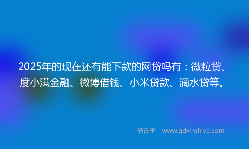 2025年的现在还有能下款的网贷吗有：微粒贷、度小满金融、微博借钱、小米贷款、滴水贷等。