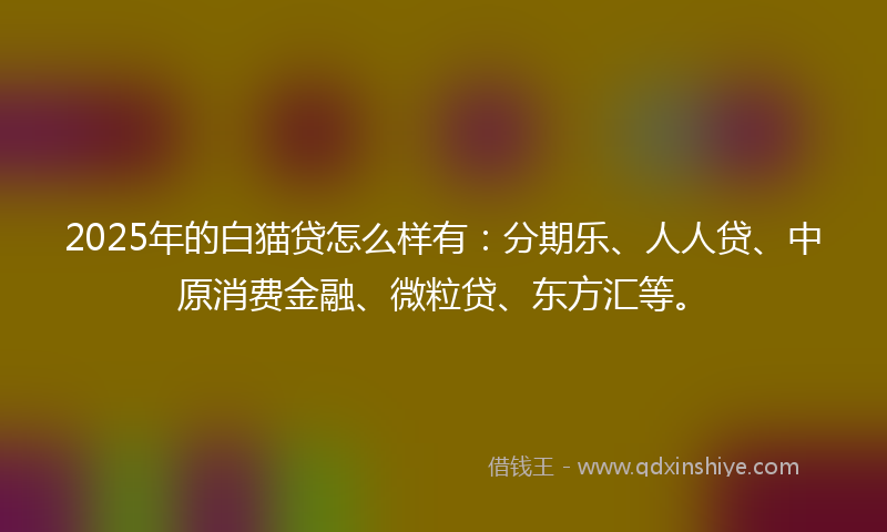 2025年的白猫贷怎么样有：分期乐、人人贷、中原消费金融、微粒贷、东方汇等。