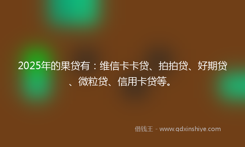 2025年的果贷有：维信卡卡贷、拍拍贷、好期贷、微粒贷、信用卡贷等。