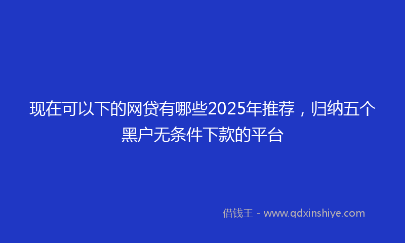 现在可以下的网贷有哪些2025年推荐，归纳五个黑户无条件下款的平台
