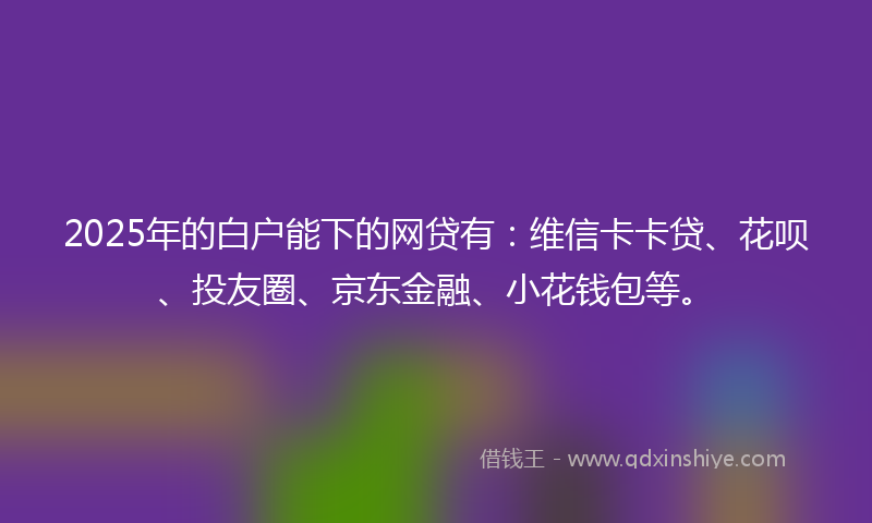 2025年的白户能下的网贷有：维信卡卡贷、花呗、投友圈、京东金融、小花钱包等。