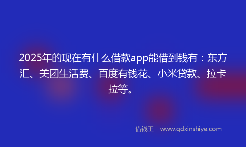 2025年的现在有什么借款app能借到钱有：东方汇、美团生活费、百度有钱花、小米贷款、拉卡拉等。