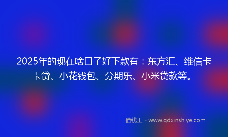 2025年的现在啥口子好下款有：东方汇、维信卡卡贷、小花钱包、分期乐、小米贷款等。