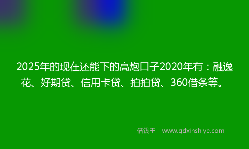 2025年的现在还能下的高炮口子2020年有：融逸花、好期贷、信用卡贷、拍拍贷、360借条等。
