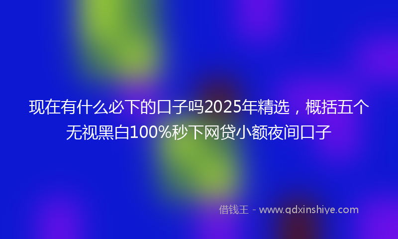 现在有什么必下的口子吗2025年精选，概括五个无视黑白100%秒下网贷小额夜间口子