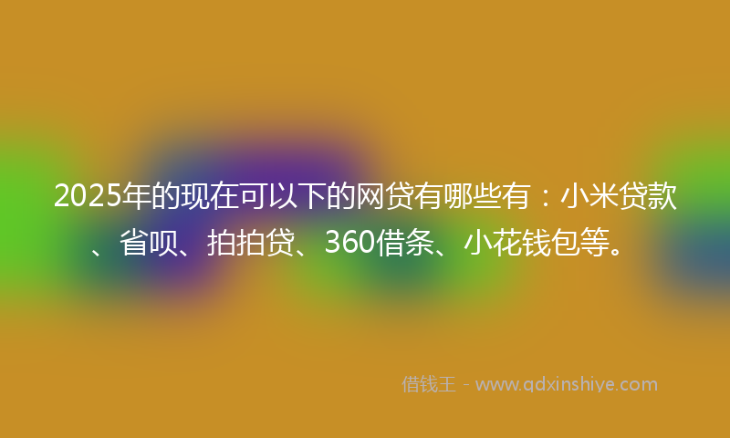 2025年的现在可以下的网贷有哪些有：小米贷款、省呗、拍拍贷、360借条、小花钱包等。