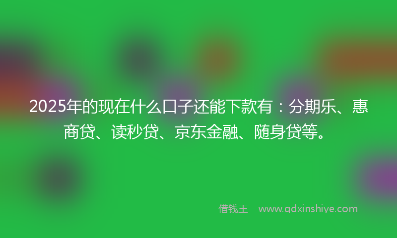 2025年的现在什么口子还能下款有：分期乐、惠商贷、读秒贷、京东金融、随身贷等。