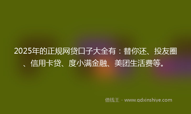 2025年的正规网贷口子大全有：替你还、投友圈、信用卡贷、度小满金融、美团生活费等。