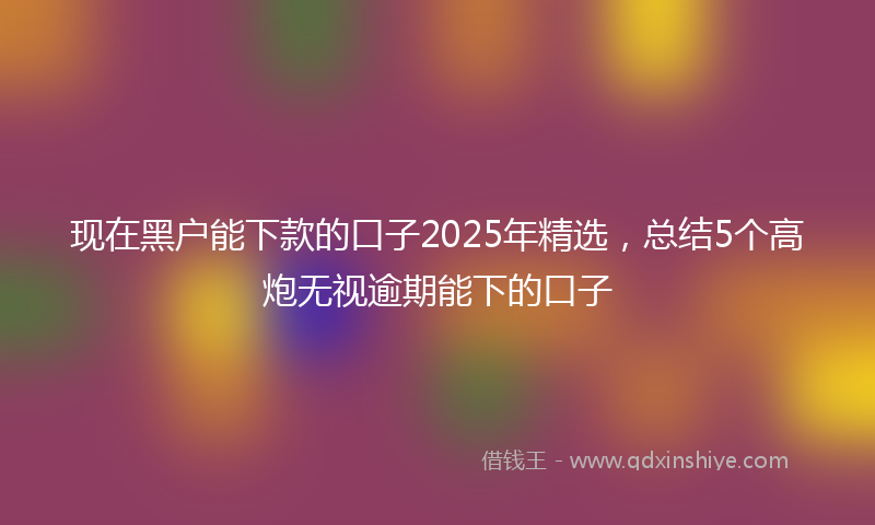 现在黑户能下款的口子2025年精选,总结5个高炮无视逾期能下的口子