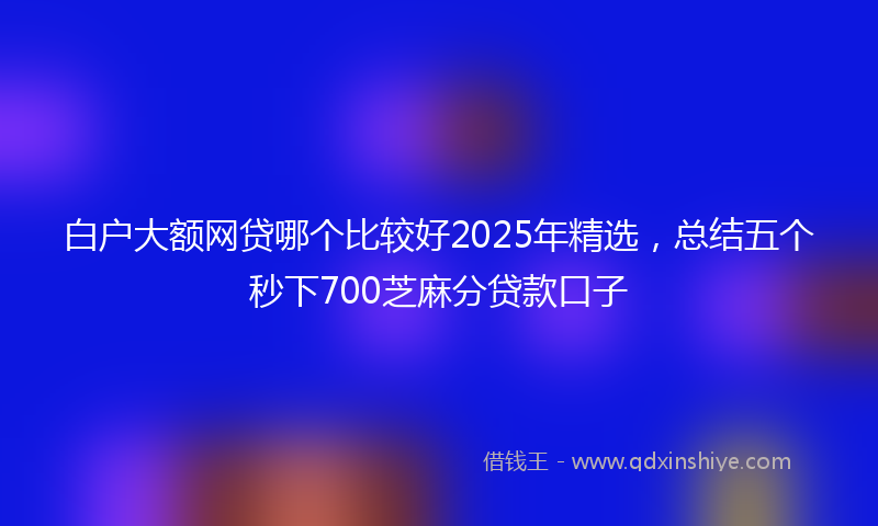白户大额网贷哪个比较好2025年精选,总结五个秒下700芝麻分贷款口子