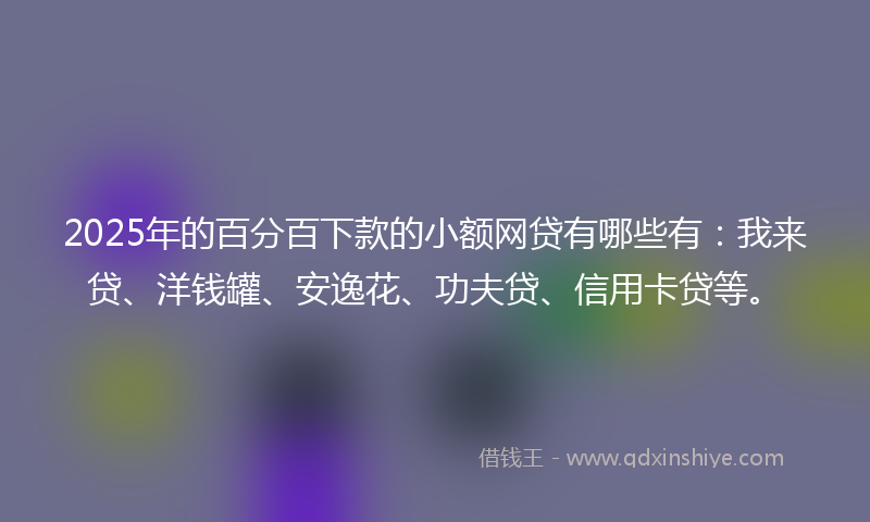 2025年的百分百下款的小额网贷有哪些有：我来贷、洋钱罐、安逸花、功夫贷、信用卡贷等。