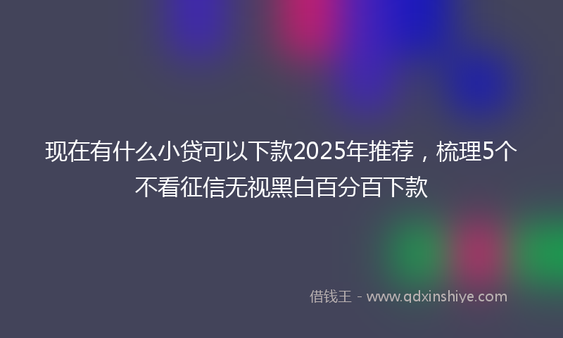 现在有什么小贷可以下款2025年推荐，梳理5个不看征信无视黑白百分百下款