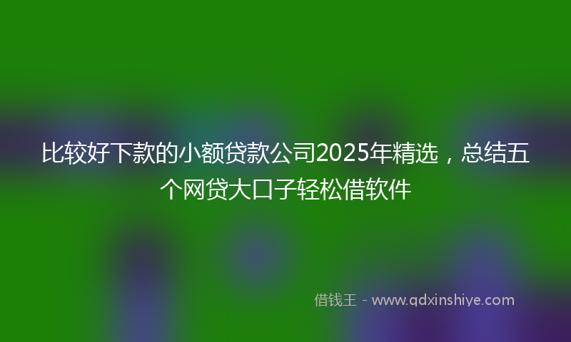 比较好下款的小额贷款公司2025年精选，总结五个网贷大口子轻松借软件