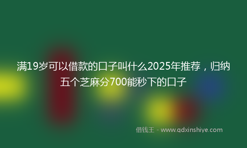 满19岁可以借款的口子叫什么2025年推荐，归纳五个芝麻分700能秒下的口子