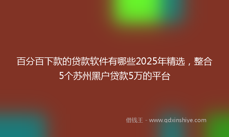 百分百下款的贷款软件有哪些2025年精选，整合5个苏州黑户贷款5万的平台