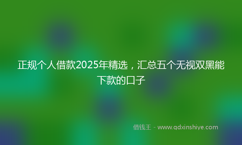 正规个人借款2025年精选，汇总五个无视双黑能下款的口子
