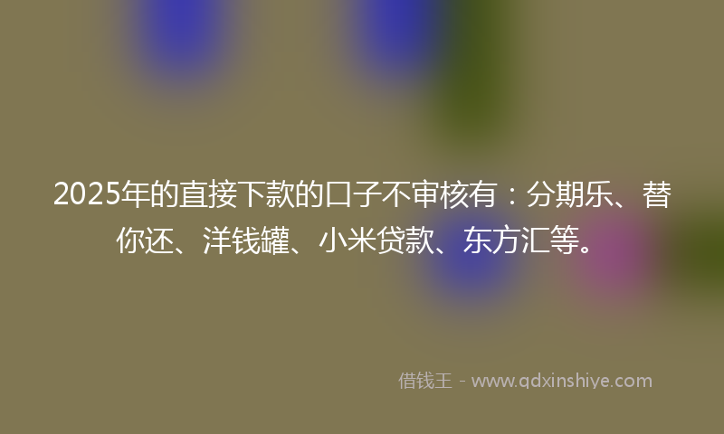 2025年的直接下款的口子不审核有：分期乐、替你还、洋钱罐、小米贷款、东方汇等。