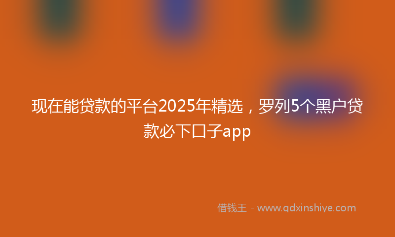 现在能贷款的平台2025年精选，罗列5个黑户贷款必下口子app