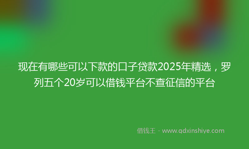现在有哪些可以下款的口子贷款2025年精选，罗列五个20岁可以借钱平台不查征信的平台