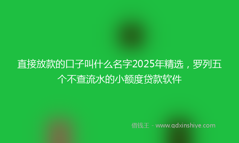 直接放款的口子叫什么名字2025年精选，罗列五个不查流水的小额度贷款软件