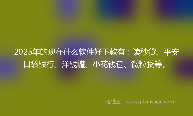 2025年的现在什么软件好下款有：读秒贷、平安口袋银行、洋钱罐、小花钱包、微粒贷等。