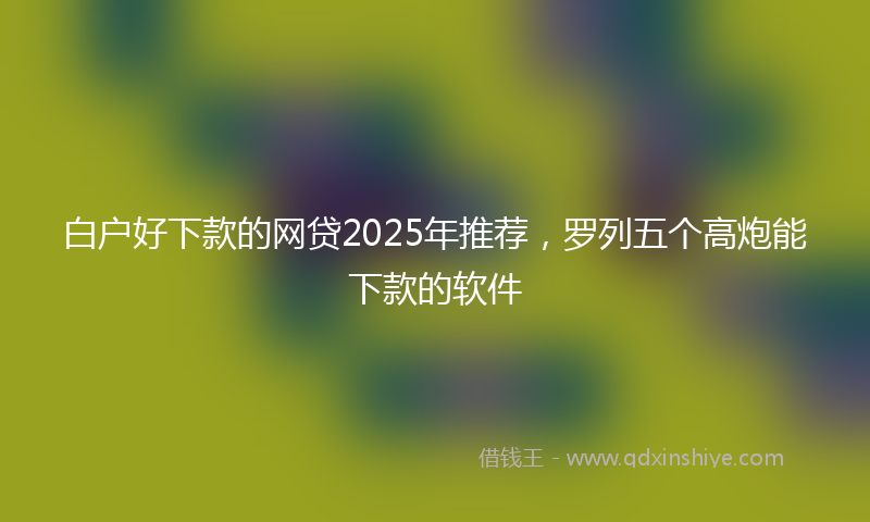 白户好下款的网贷2025年推荐，罗列五个高炮能下款的软件