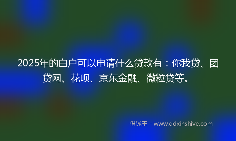 2025年的白户可以申请什么贷款有：你我贷、团贷网、花呗、京东金融、微粒贷等。
